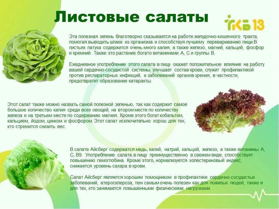 Почему нельзя есть зеленый. Чем полезна зелень. Полезная зелень для организма. Салатный лист полезные. Чем полезен салатный лист.