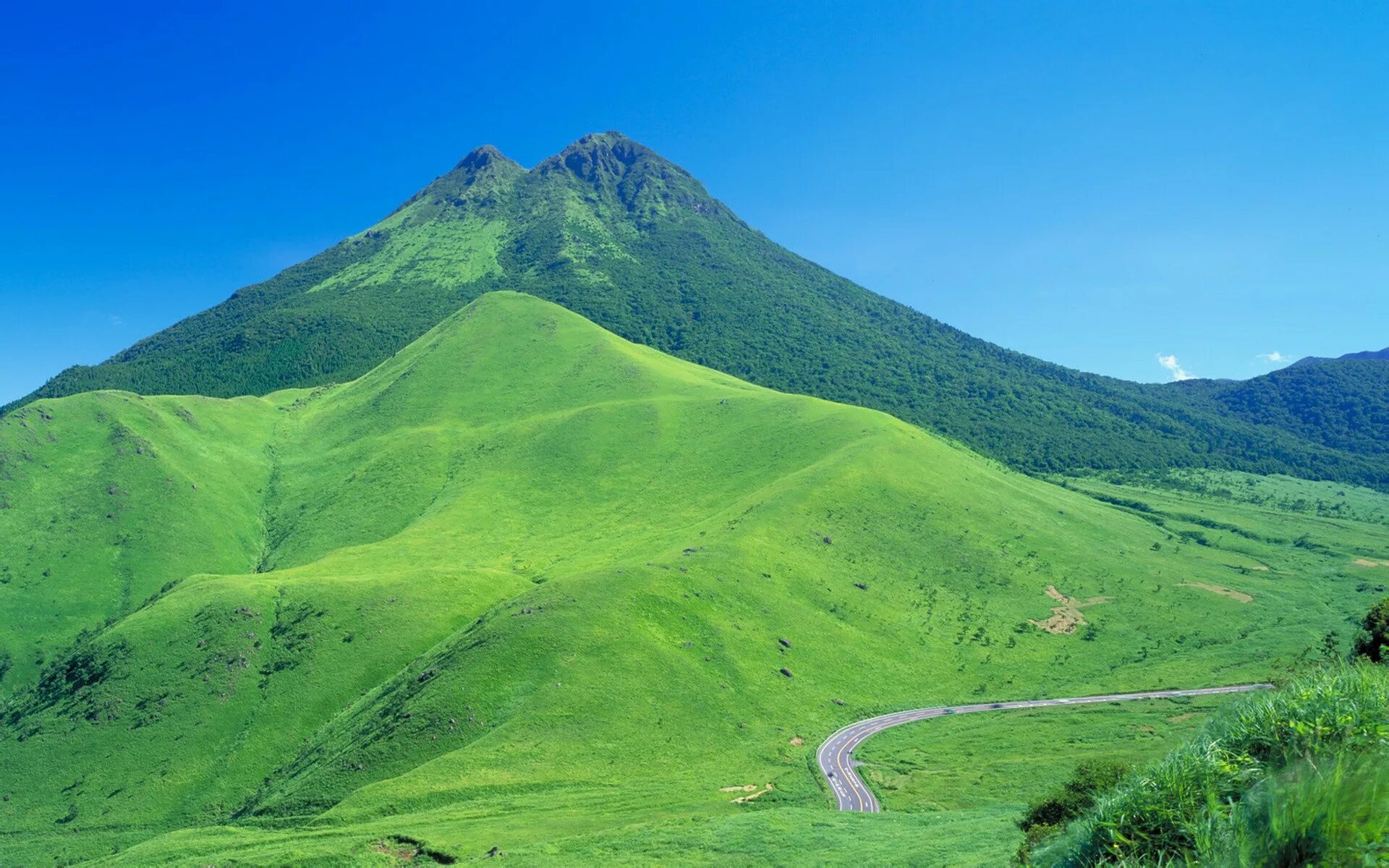 Гора зелени