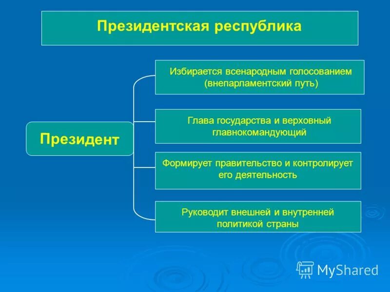 В президентских республиках главой правительства является