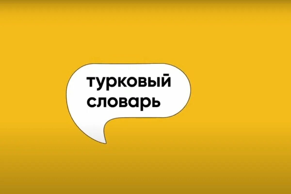 Как правильно говорить пылесосю. Пропылесосю. пылесошу или пылесосю. я сейчас пылесосю. туркова ксения журналист голая.