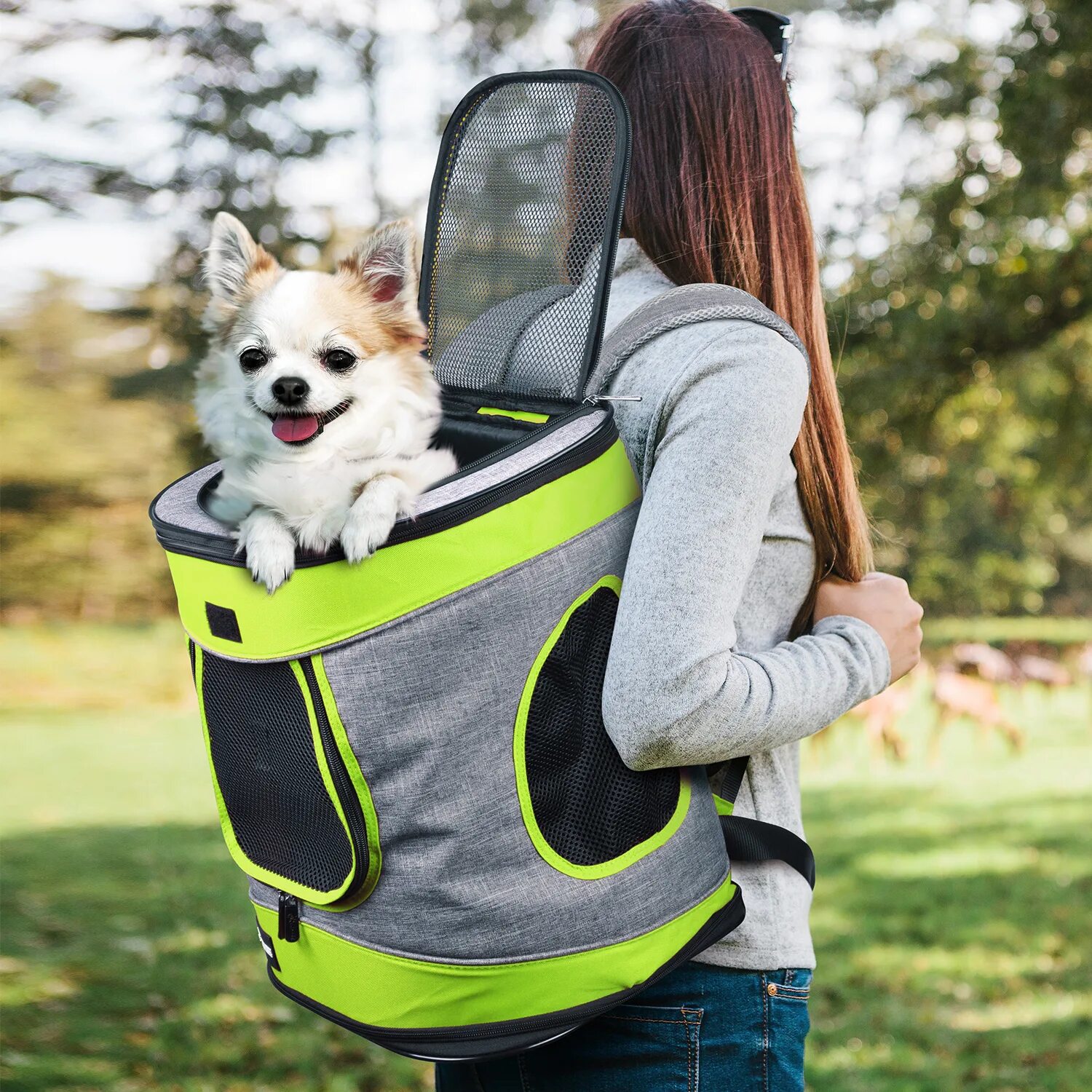 Рюкзак Pet Carrier. Рюкзак для маленькой собачки. Рюкзак корги. Рюкзак с собачкой.