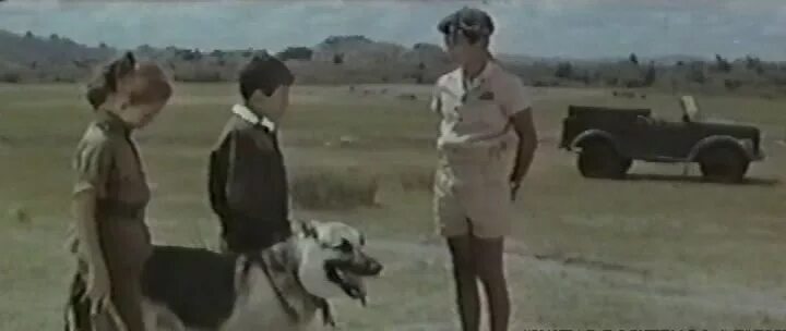 красный камень фильм. постер тайник у красных камней 1972. кино у заставы красные камни. у заставы красные камни фильм 1969. красная застава community.