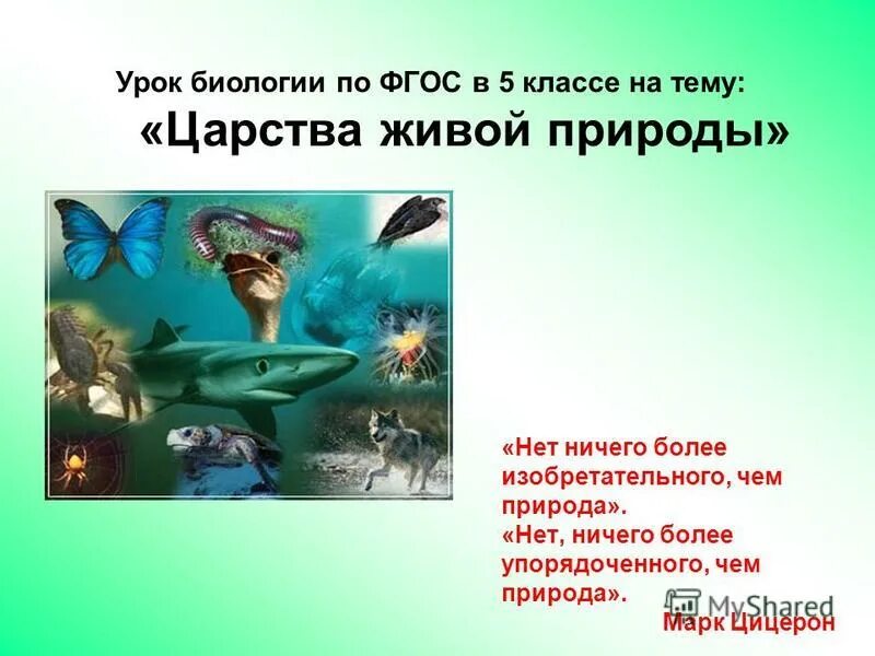 современный урок биологии. требования к предметным результатам по биологии и химии. системный личностный и деятельностный подходы. технологии на уроках биологии. игры на уроках биологии.