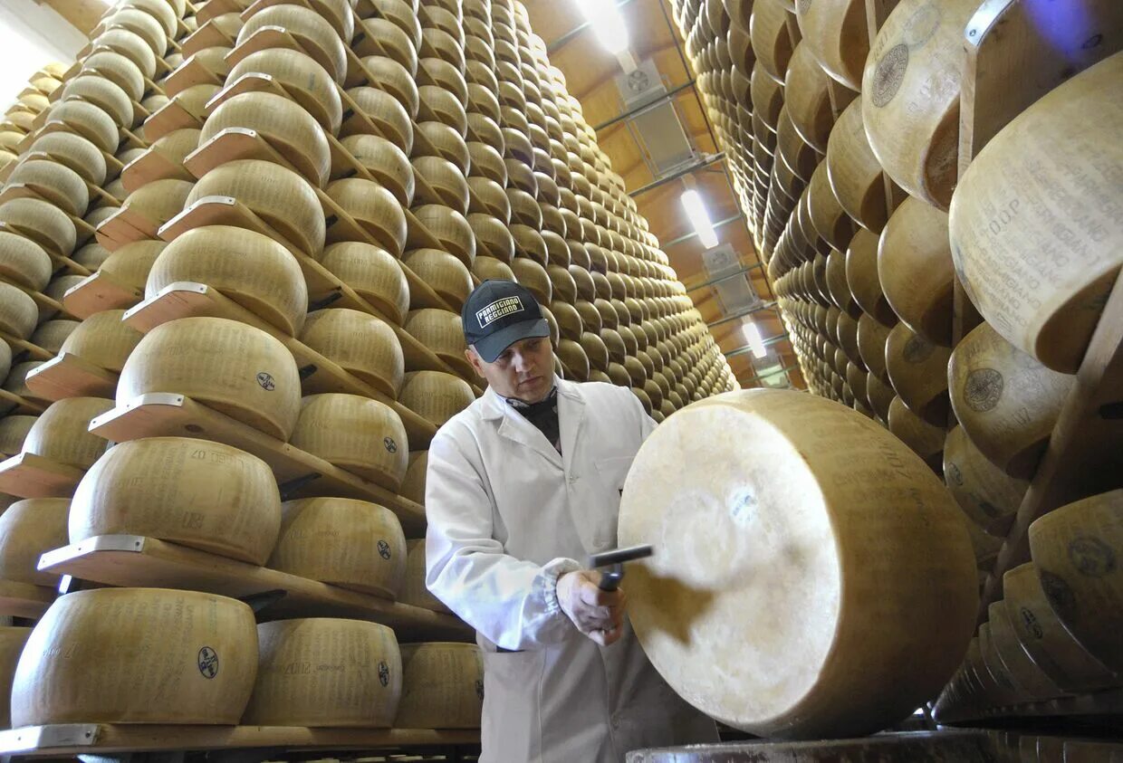 Интересные производства в мире. Завод пармезан в Италии. Сыроварня завод в Италии. Parmigiano Reggiano головка. Производители сыра.