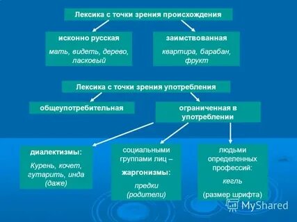 Группы слов в разделе лексика