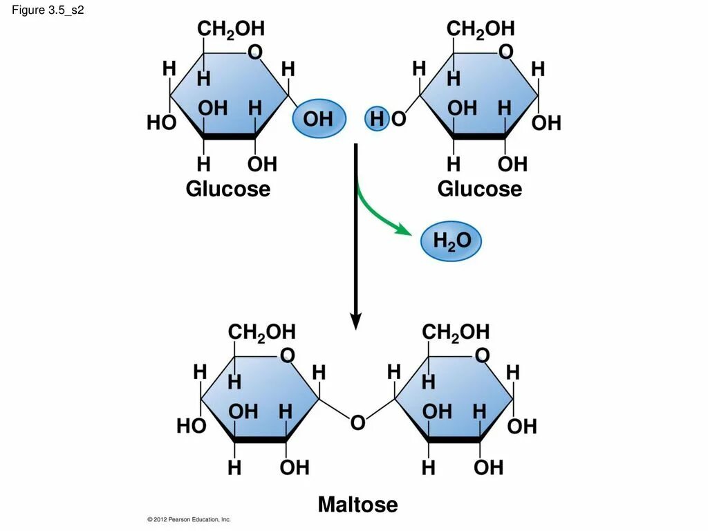 Starch перевод. Glucose ring structure. Recovery of monosaccharides. Glucose structure. Альфа глюкоза и бета глюкоза.