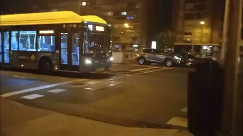Расписание автобуса 514 из плескова