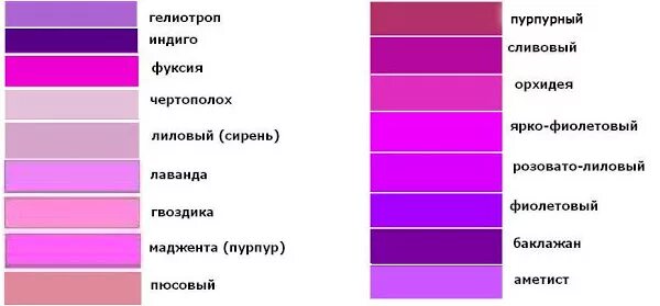 Розово фиолетовый цвет название. Фиолетовая фуксия цвет. Сиренево-лиловый цвет. Пурпурно лиловый цвет. Пурпурно розовый цвет.