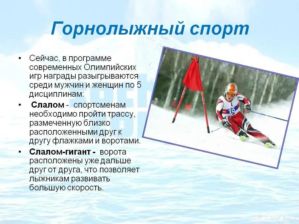 Лыжный спорт программы. Виды лыжного спорта. Лыжный спорт характеристика. Горнолыжный спорт это вид спорта. Горные лыжи презентация.