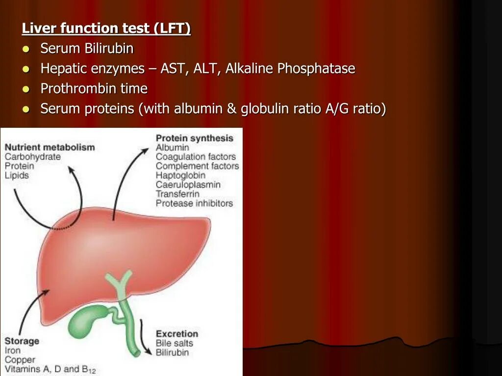 Liver function. Liver function test. liver hormones. lft тест.