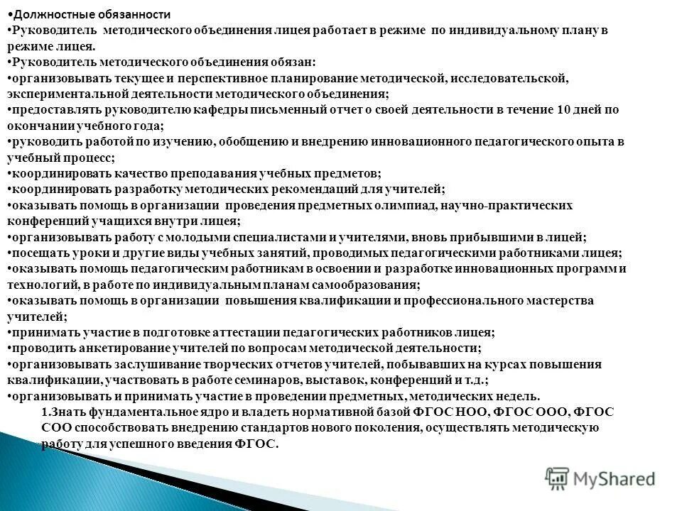 Отзыв методического руководителя. Отзыв методического руководителя