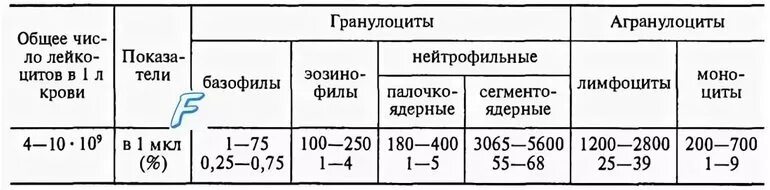 Норма гранулоцитов в крови у детей до года. Гранулоциты норма у грудничка до года таблица. Гранулоциты норма у детей 7 лет. Показатели крови в норме гранулоциты. Гранулоциты повышены у мужчины в крови