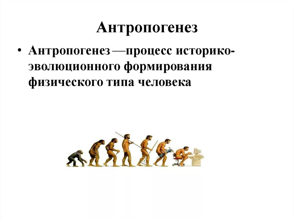 Процесс историко эволюционного становления человека как. Антропогенез. Антропогенез это процесс. Формирование человека Антропогенез. Антропогенез определение.