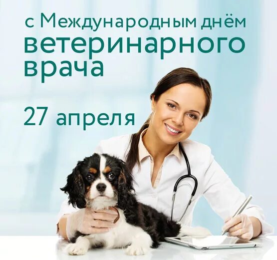 С днем ветеринарного врача. 24 Апреля день ветеринара. Международный день ветеринарного. Открытки с днём ветеринарного врача. Международный день ветеринарного врача