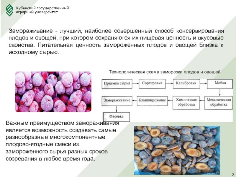 Способы замораживания плодов и овощей. Замораживание овощей схема. Метод замораживания для сырья. Пищевая ценность плодов и овощей.