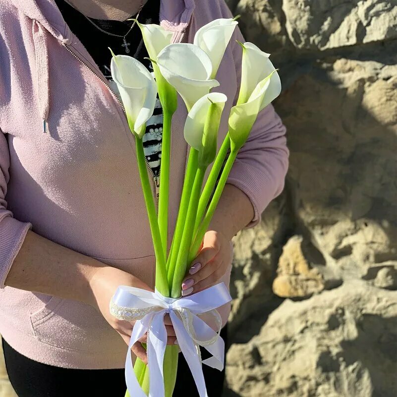 Калла аваланч. Калла камео. Калла грин годдес. Каллы коломбо пайкс. Калла швальцвальдер.