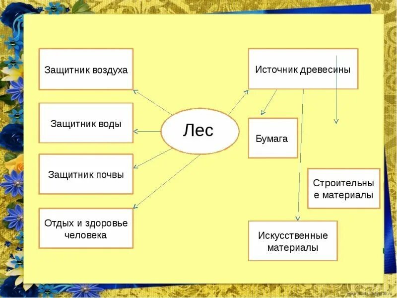 Какова роль леса в жизни человека. Роль леса в жизни человека схема. Ролт Леа в жизи челоека. Роль леса в природе и жизни людей. Поль леса в жизни человека.