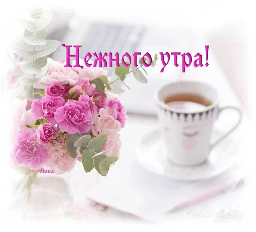 Доброе утро крашу. Нежные открытки с добрым утром. хорошего утра и дня и отличного настроения. доброе утро хорошего дня и прекрасного настроения. с добрым утром прекрасного дня.