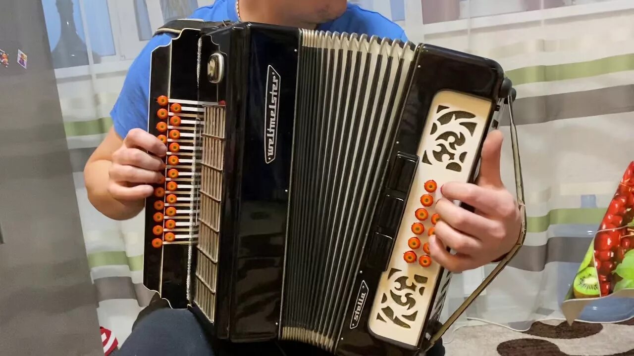 Гармонь немецкая Hohner. Аккордеон немецкий Hohner 3/4. Гармонь мастеровая Комиссаров. Баян аккордеон гармонь различия. Чем отличается аккордеон от баяна и гармони