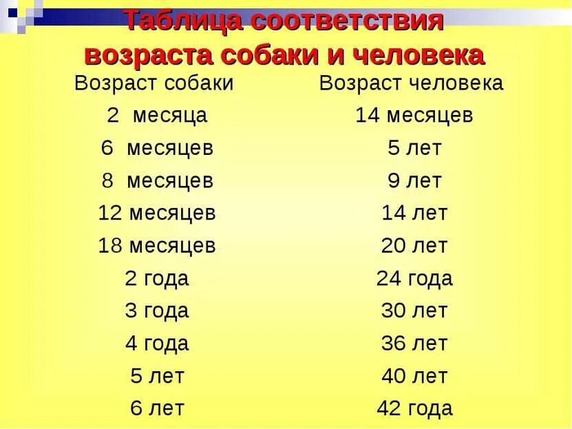 На сколько возрастет. Соотношение возраста собаки и человека по месяцам таблица. Возраст собаки по отношению к человеку таблица. Таблица измерения возраста собаки и человека. Таблица соответствия возраста собаки.