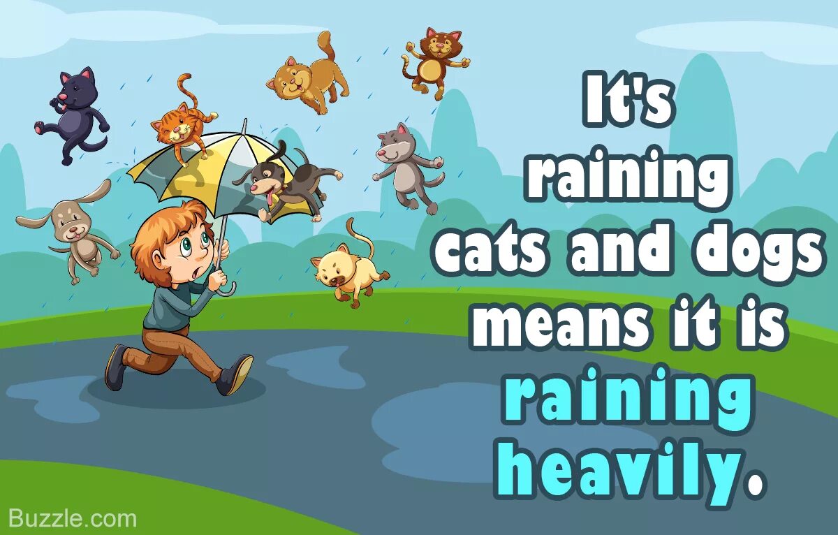 Raining перевести. Идиома it's raining Cats and Dogs. Rain Cats and Dogs идиома. Raining Cats and Dogs идиома. It Rains Cats and Dogs.