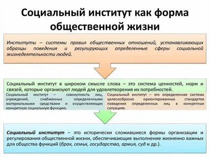 Организационные формы социальной сферы