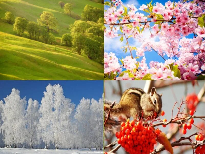 отношение христианина к природе. пейзаж для рисования. отношение христианина к природе презентация. пейзаж изо. пейзаж родного края.