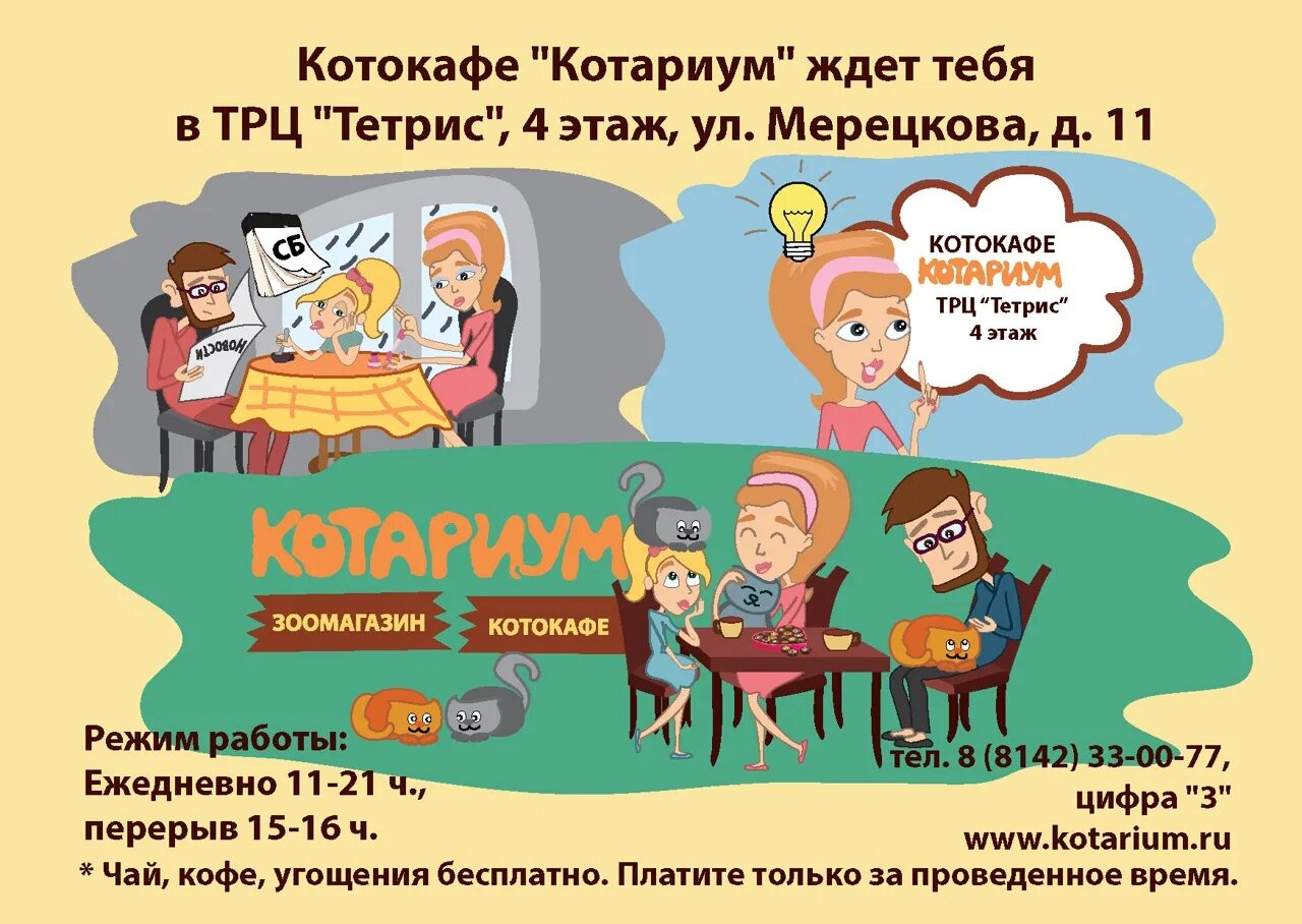 Котокафе петрозаводск. Котариум. Котариум петрозаводск. Котариум уличный. Кото кафе в петрозаводске.