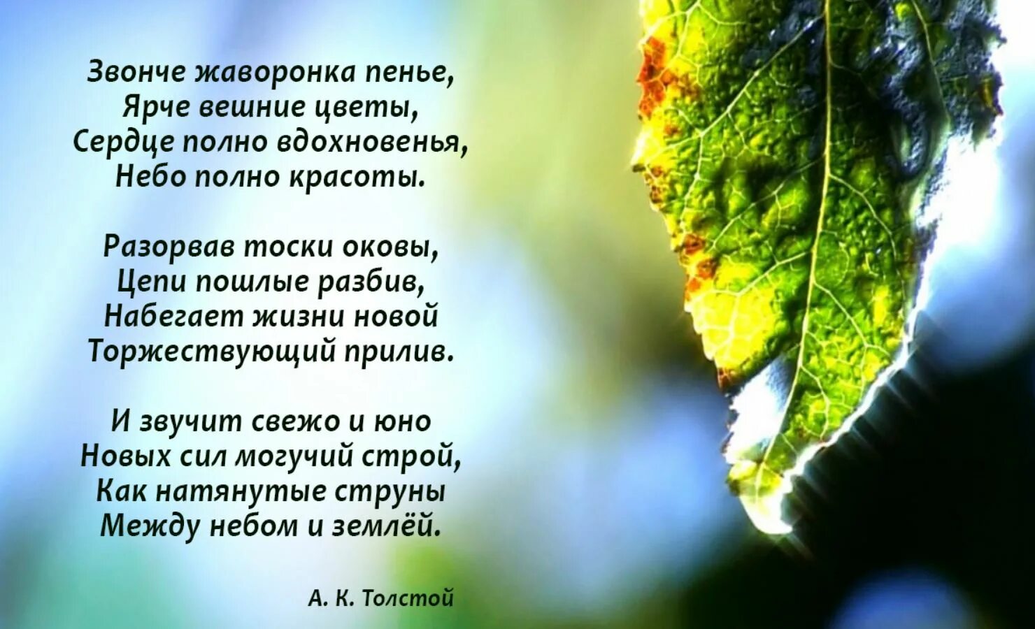 Слушаю стихи природе. Стих про весну. Стихотворение о весне. Стихи о весне красивые. Красивое стихотворение о весне.