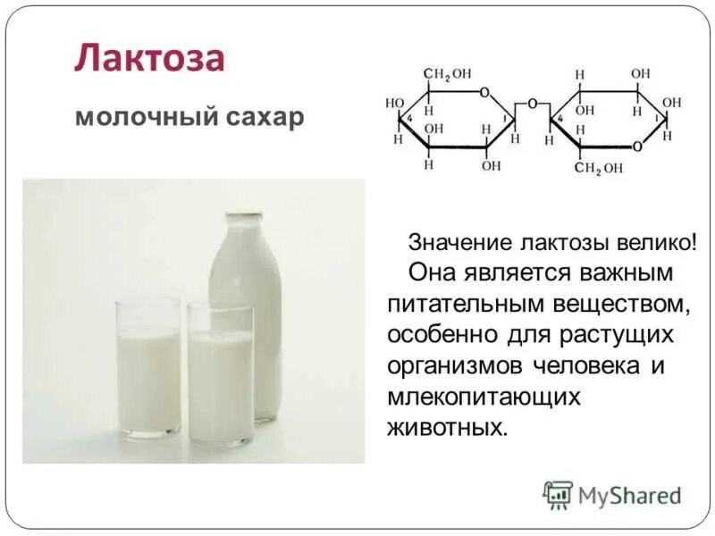 Количество лактозы в молочных продуктах. Лактоза ( молочный сахар) функции. Биологическая роль лактозы биохимия. Биологическая роль лактозы в химии. Биологическая роль лактозы кратко.