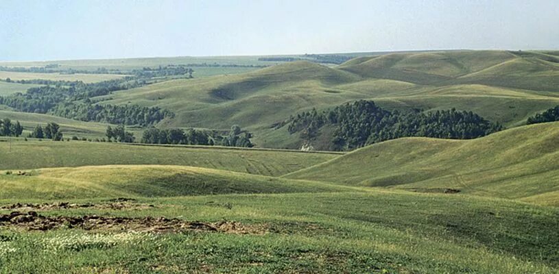 Поволжская возвышенность. Приволжская возвышенность Татарстан. Рельеф Приволжской возвышенности. Приволжская возвышенность Волгоградской области. Саратов равнина возвышенность.