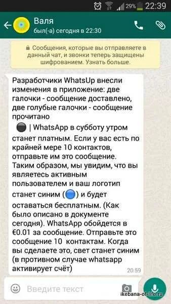 Приходят платные смс. Сообщения спам в ватсапе пример. Спам сообщения в WHATSAPP. Фейковые сообщения в вотсапе. Фейковая информация в ватсапе.