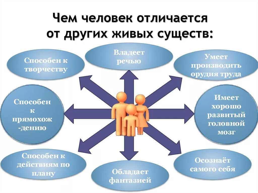 Особенности отличающие его от других