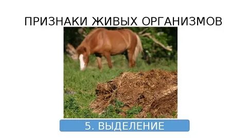 Живой выделить