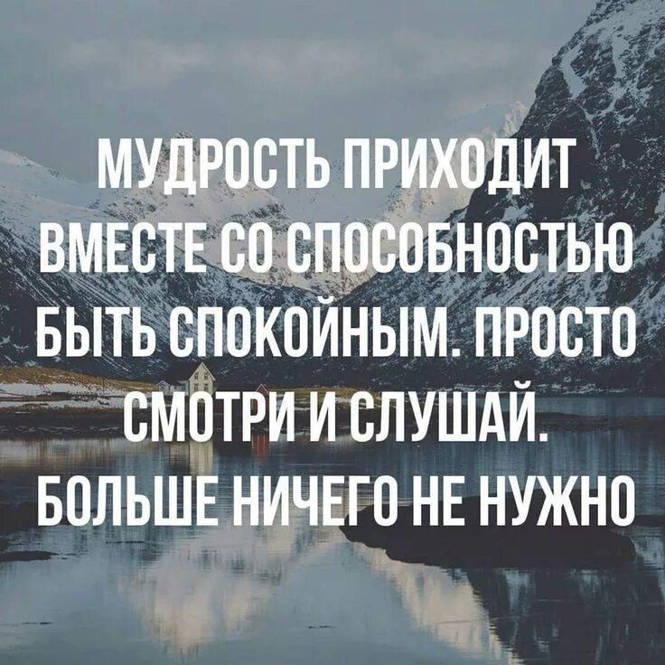 Всё идёт своим чепедом. Будь спокойней будь мудрей. Будь спокоен цитаты. Жизнь идёт своим чередом. Будь спокойней будь мудрей.