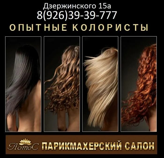 Типы волос. Разные типы волос. типы волос у девушек. типы волос картинки. типы волос в парикмахерской.
