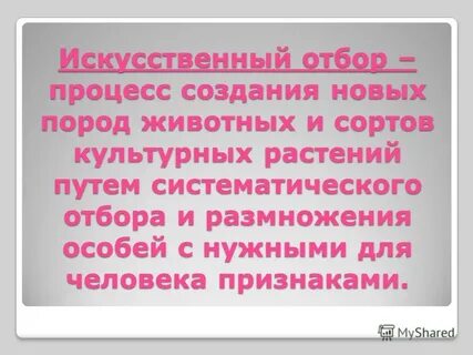 Систематический отбор