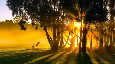 Nature's sun
