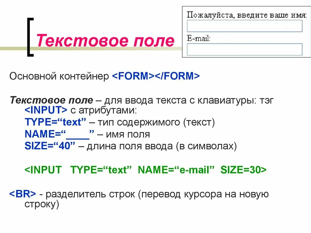 Поля в html. Типы input html. Текстовое поле форма. Формы html. Создание формы в html.