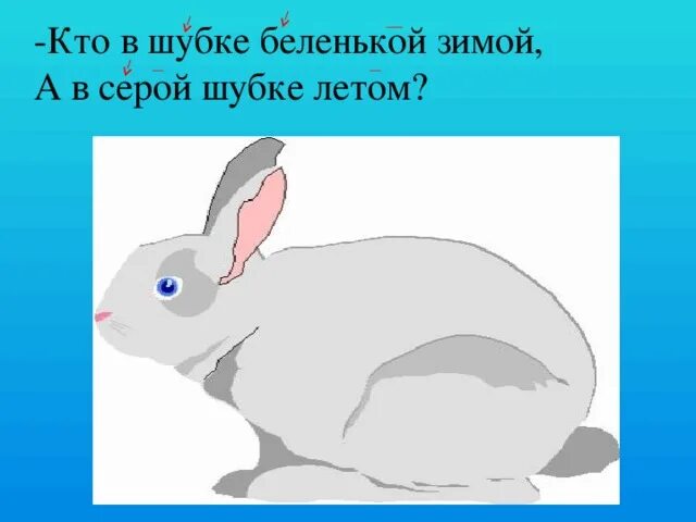 Синий лапоть кратчайшее содержание. Иллюстрацию пришвина синий лапоть. синий лапоть рисунок.