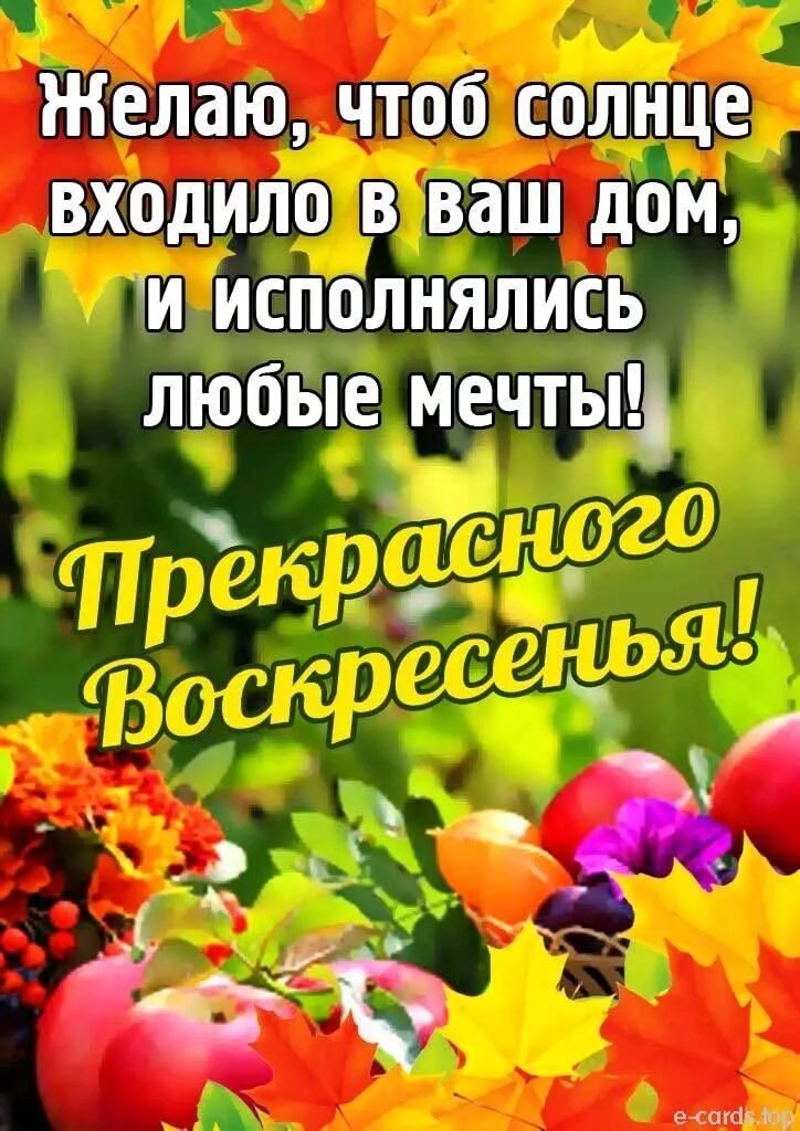 Солнечного воскресенья. Хорошего воскресного дня и отличного. Хорошего летнего воскресного дня. Доброго солнечного воскресного дня. Воскресение афоризмы