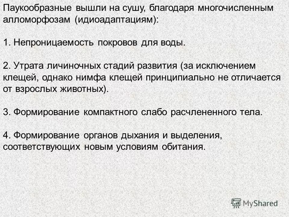Периоды индивидуального развития животных. Значение личиночных стадий. Развитие организма. Какое биологическое значение имеет существование личиночной. Биологическое значение ртути.