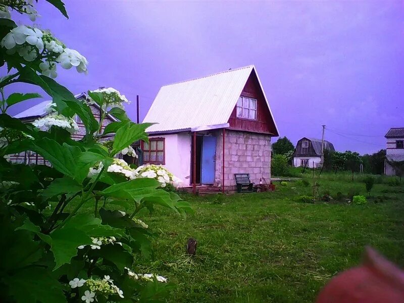 с т дружба 2. дачи на авито десногорск кукуевка. снт дружба 1. садовое товарищество природа богородский район. снт дружба 2 электросталь.