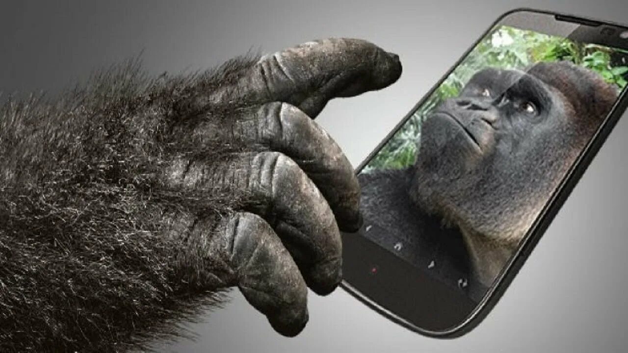Защитное стекло gorilla glass. Защитное стекло gorilla glass 5. Corning gorilla glass 3. Стекло защитное gorilla gorilla glass. Защитное стекло горилла глаз 5.