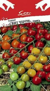 Cherry отзывы