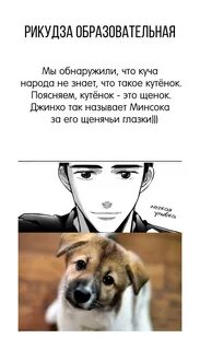 Без шансов книга