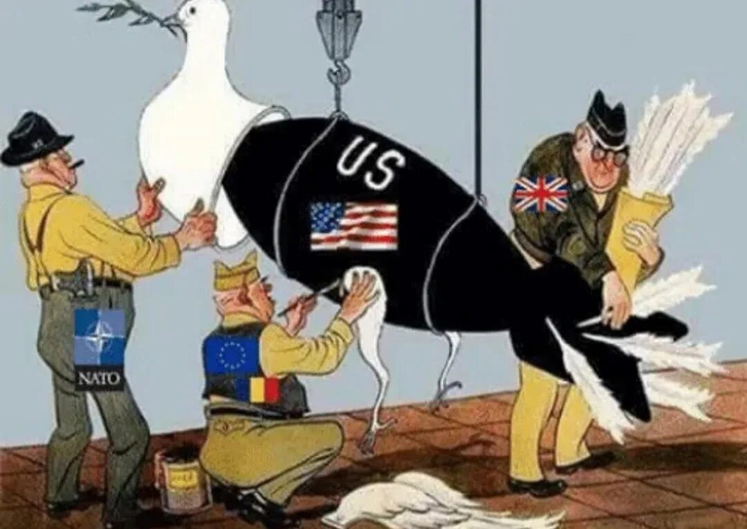 Нато предупреждает. НАТО карикатура. Финляндия в НАТО карикатура. Карикатура на финнов в НАТО. NATO мемы.