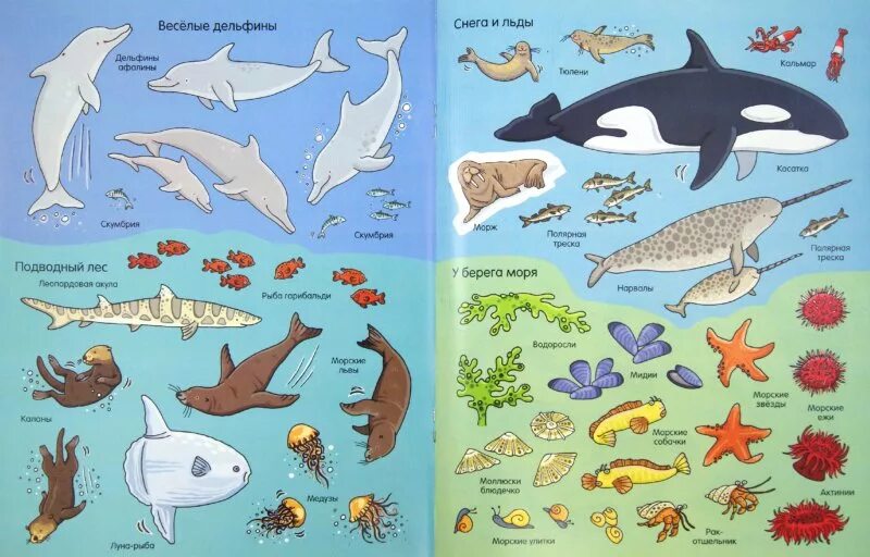 Обитатели моря для детей. Обитатели морей и океанов для детей. Морские животные для детей.