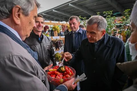 Садоводы 2021