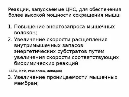 Реакцию запускали